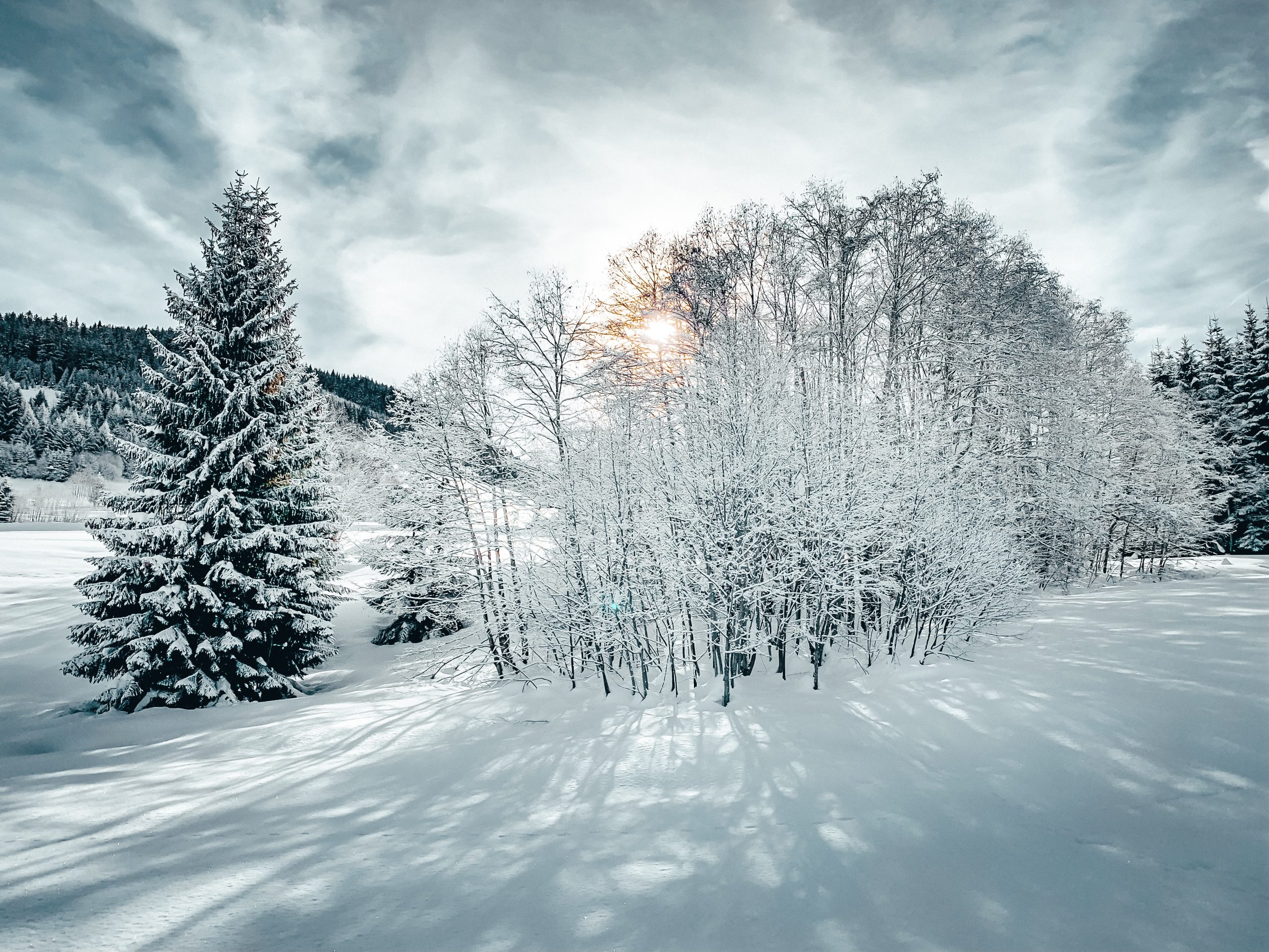 Eden Megeve blog