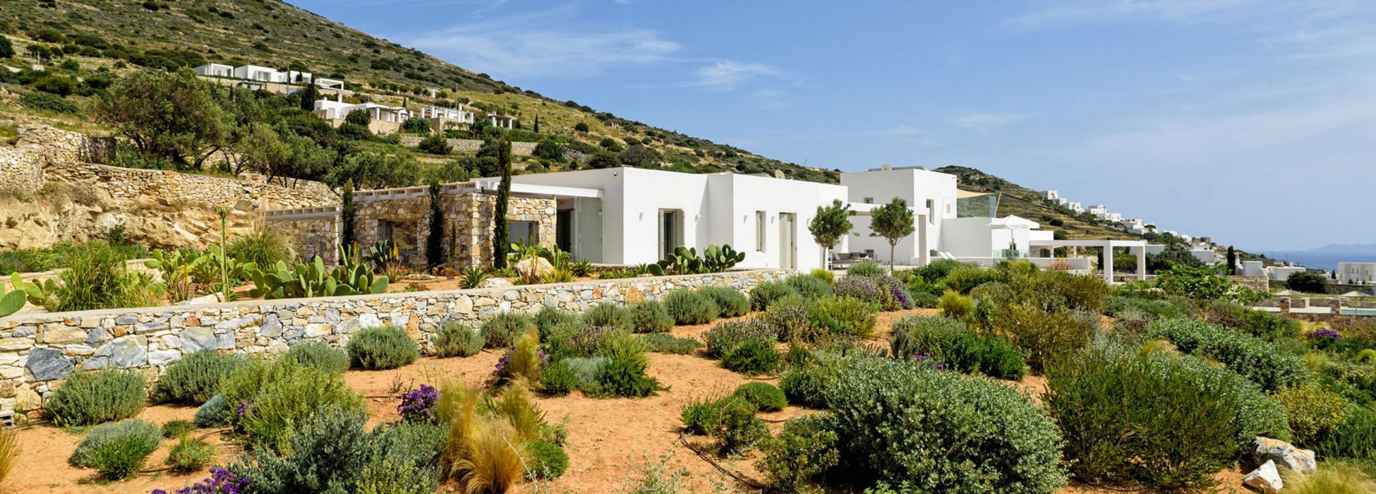 The Vinyard